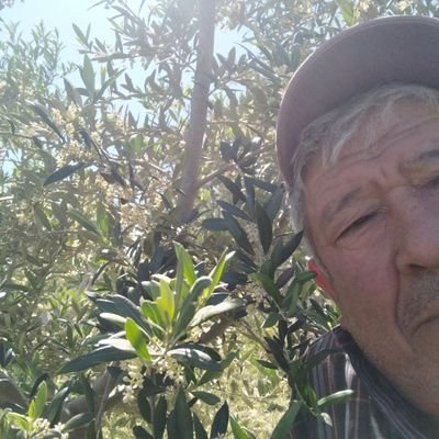 MYurtman1956's profile picture.