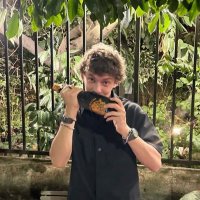 el ⁸¹ (@bearnelling) 's Twitter Profile