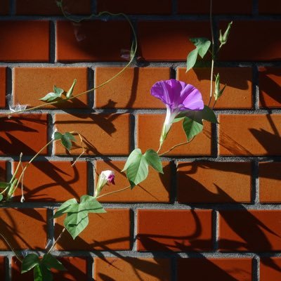 pwapfc's profile picture. Xで呟くことがないけど地味にダイエット継続中。目下の課題は姿勢改善、下半身太りの解消、PFCバランスとストレッチなどの自宅トレ継続。トータル-14kg超を目指し、202509現在11.1kg減まで到達中。 今年の旅は現在群馬、福島、新潟、山形、北海道、長野で進捗予定。