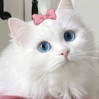 ..... (@may_samrong) 's Twitter Profile