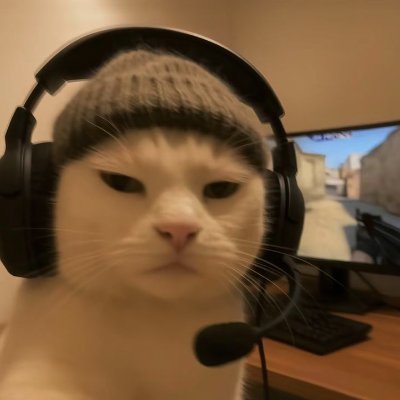 Variety streamer
Twitch VOD Editor
Feel free to chat.