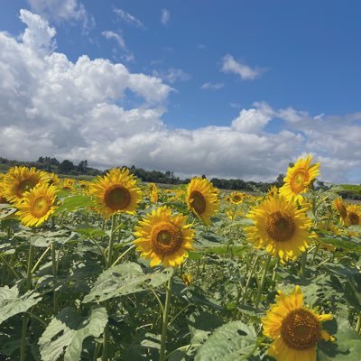 ______sty10's profile picture. 