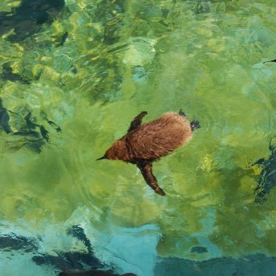 JCさんのプロフィール画像