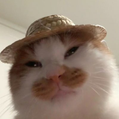 ITAmmkj's profile picture. 哟