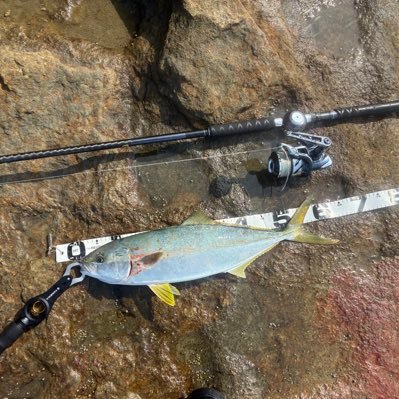 yOMRZLjt4g17540's profile picture. 