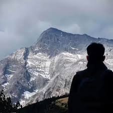 BrendaMorr58851's profile picture. 