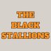 The Black Stallions (@blackxstallions) Twitter profile photo The Black Stallions (@blackxstallions) Twitter profile photo