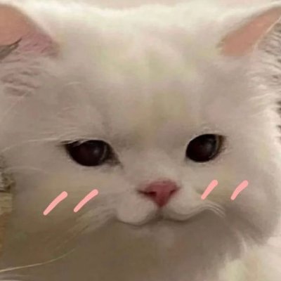 แมวเมี๊ยว✧⁽ ˢˡᵒʷ ⁾ Profile