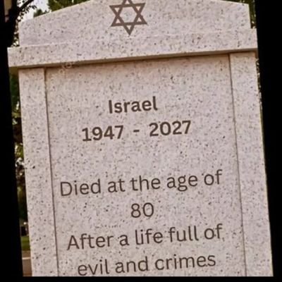 Bahadircf's profile picture. 