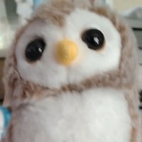 とうじんver.4.8/冬仁 (@vrc_touzinn) 's Twitter Profile