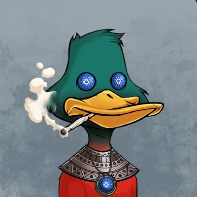 MichelLeerkotte's profile picture. #Ada Cardano