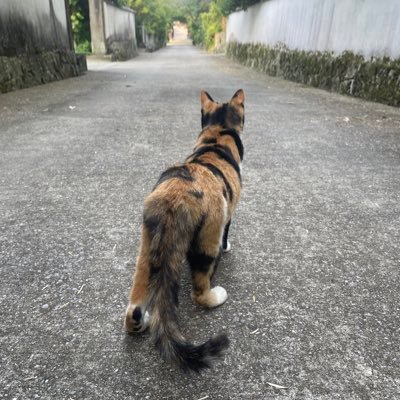 なかなかヘタレなさすらいのグラフィックデザイナー。洋楽、特にRolling Stones/David Bowie/U2/Duran Duran/Guns and Roses/Oasisなどを好む。他に洋画、海外ドラマ、心霊、食べ歩き、オカルト、心霊、都市伝説、アート好き。