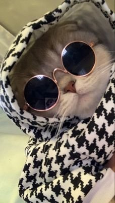 _Fathimausman_'s profile picture. Death, Death to the IDF🔻