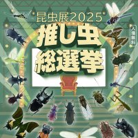 愛媛大学昆虫展2025@推し虫総選挙 (@eu_konchuten) Twitter profile photo