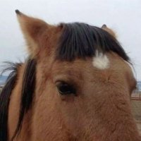 me maw (@selfdiagnoser) 's Twitter Profile