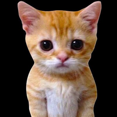 SamuelB775's profile picture. 