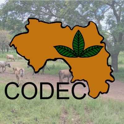 CodecGuinee's profile picture. CODEC est un consortium de onze OSC guinéennes. Il accompagne les communautés locales et les petits producteurs pour faire respecter leurs droits fonciers.