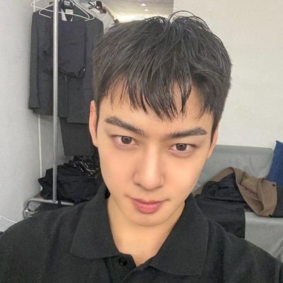 thyst888's profile picture. 🐎┊︙ ⌗ ˚⊹꒷ 🫒