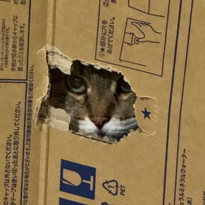 めでぃかるさんのプロフィール画像
