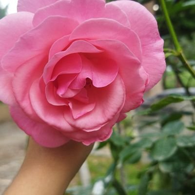 Eslm2121's profile picture. 