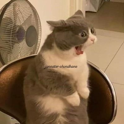 MiNi70718930624's profile picture. poohpavel ❤️