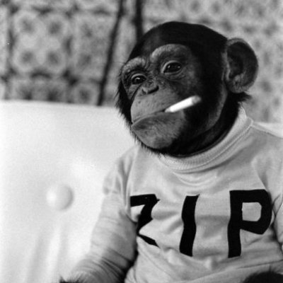 Gosby62596913's profile picture. 