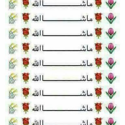 MohammedEa75629's profile picture. 