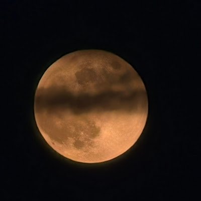 Moss534181's profile picture. 