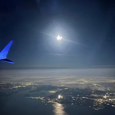 anemone2036's profile picture. 根無草(しなさい)