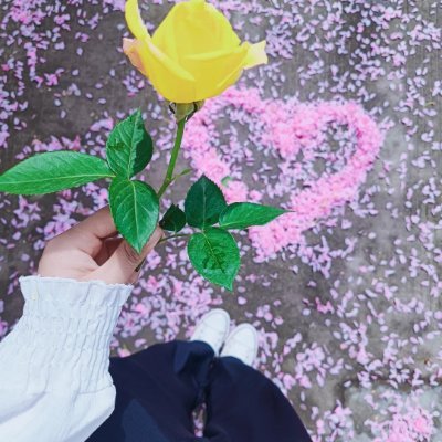 Jessy32645's profile picture. Dancing through life like nobody’s watching 💃
