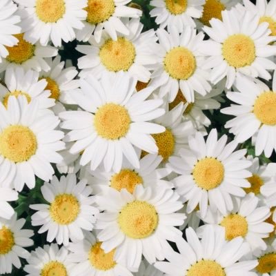 hizTGbv2cv7901's profile picture. 韓国大好き❤ 韓国語勉強中です。 韓国料理も勉強してます。 富士山の麓に住んでいる5人の子どもの母。  家庭連合(6500)。長女は🇯🇵🇯🇵家庭、次女は🇲🇾🇯🇵家庭、三女は🇪🇸🇯🇵家庭。孫4人｡ DMは返信できません。