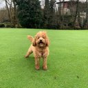 Patrick Howell - @howell2x - Twitter