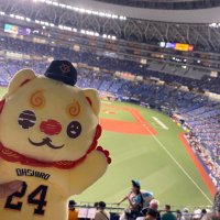 みん (@min_g24) 's Twitter Profile Photo みん (@min_g24) 's Twitter Profile Photo