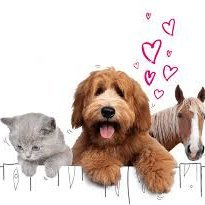 K__aplop's profile picture. Enjoy sports, Music and Festivals