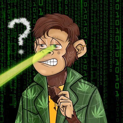 elfujgi's profile picture. $SOL MAXI Let’s break free from the matrix together | @StonedApeCrew