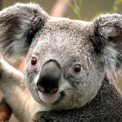 F85veida9Q54492's profile picture. 