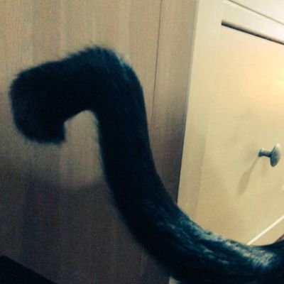 むーまさんのプロフィール画像