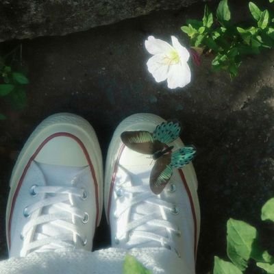 somnium1102's profile picture. 