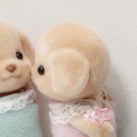 เฟลอร์ ❀ ࠬܓ ft.slow mak (@fleurflowergirl) 's Twitter Profile Photo เฟลอร์ ❀ ࠬܓ ft.slow mak (@fleurflowergirl) 's Twitter Profile Photo