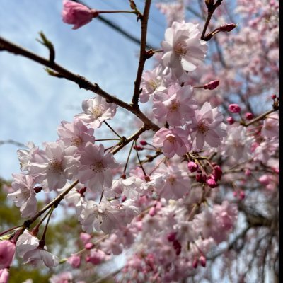 \7社様と提携+リピート率9割超🙇/月間広告費1000万円の大手案件の戦略からPDCAを回すディレクター兼デザイナー【上流設計から入り広告プランニング・デザイン制作〜広告運用⇆分析・改善までご支援】ご縁を大切にするアツい人❤️🔥経営者交流会を2つ運営🧠24H365日丁寧にご対応|全ジャンル🙆|インボイス登録済