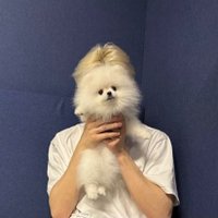 bil˚☘︎ ݁˖ (@jvunkyux) 's Twitter Profile