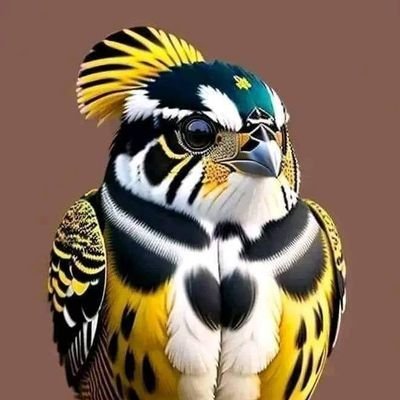 MTyby93848's profile picture. العلم نور