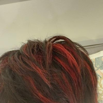 Xはメモ帳
嘘が付けない
趣味は人間観察