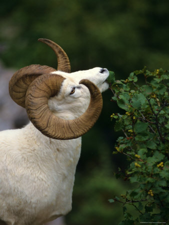 hungrysuffolk's profile picture.