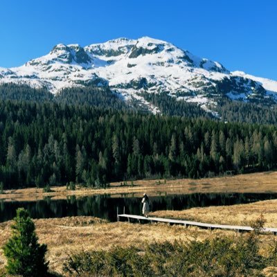 switz_ngn's profile picture. iOS アプリ開発・Claude Code ゼロスタート🇨🇭 IT未経験の普通の会社員です🫡