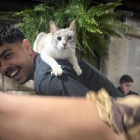 Leonardo Lalli (@leonardolalli) 's Twitter Profile