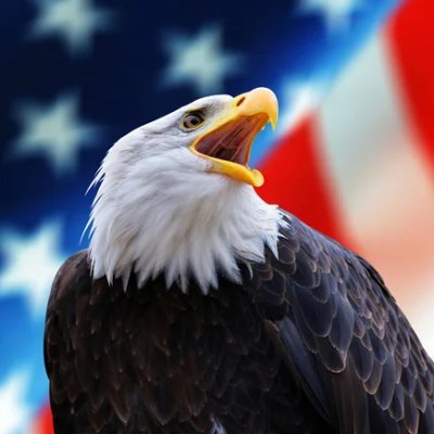 I love this country and everything about it. I wanted to share some information about it with you. I hope you enjoy it.