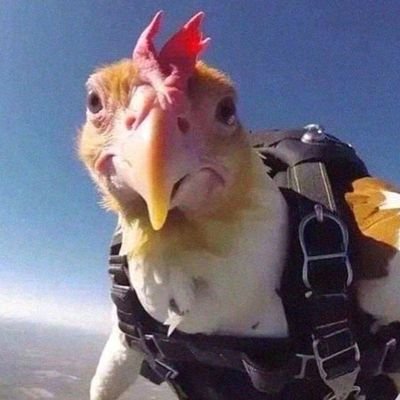 _9mma's profile picture. 