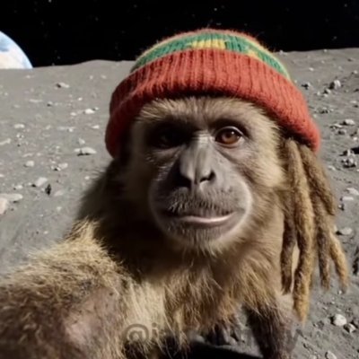 First Jamaican Monkey to walk on the moon... me lives on da Dark Side mon