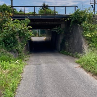 nao70nao70nawo's profile picture. 2025年参議院議員選挙をきっかけにSNSでの他の方の意見等を拝見して思うことを呟いています。無言フォローさせていただき恐縮です。